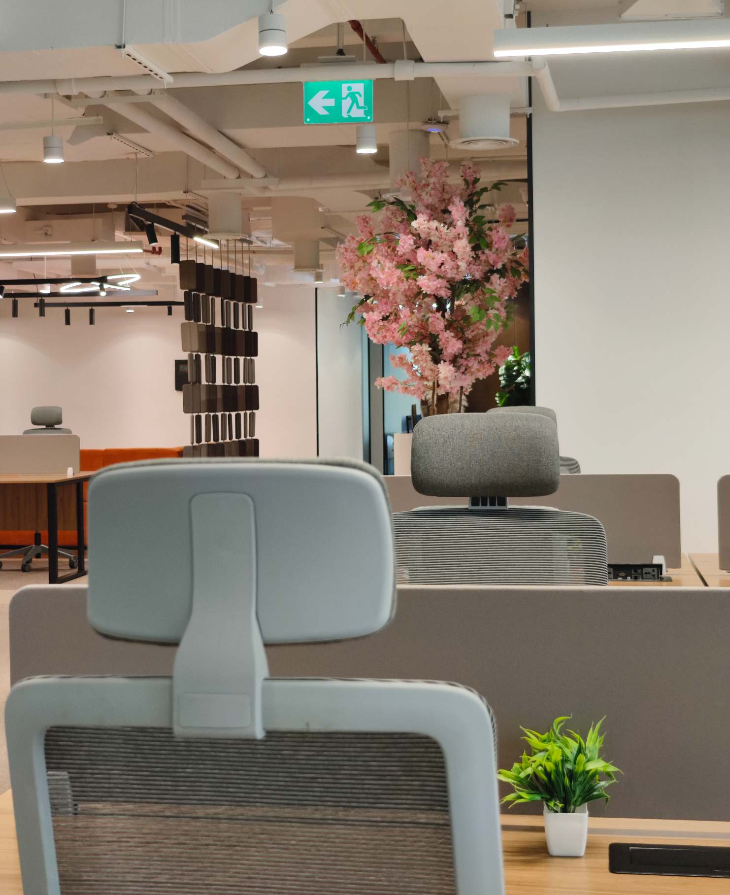 Modern office interior featuring glass and aluminum works with ergonomic seating and decorative elements at Trident Nexus Business Centre Dubai
